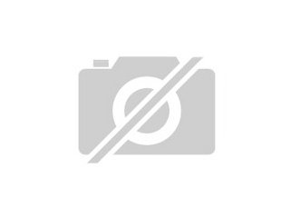 Tüchtige Putzhilfe für regelmässiges Fensterputzen etc. in Niddatal